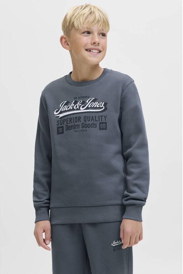 Jack & Jones Junior Sweatshirt JJELOGO SWEAT CREW 2 COL AW25 NOOS JNR