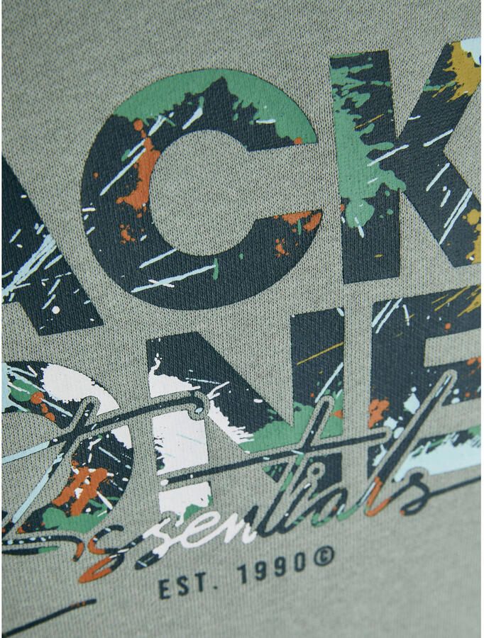 Jack & Jones Junior Sweatshirt JJGEPLAS SWEAT CREW NECK JNR