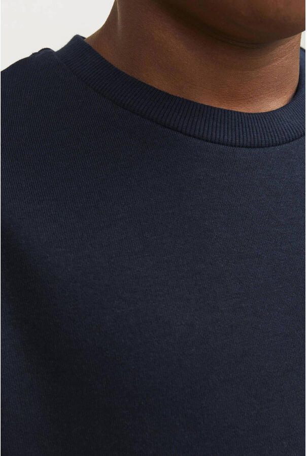 Jack & Jones Junior Sweatshirt JJEBRADLEY SWEAT CREW NOOS JNR