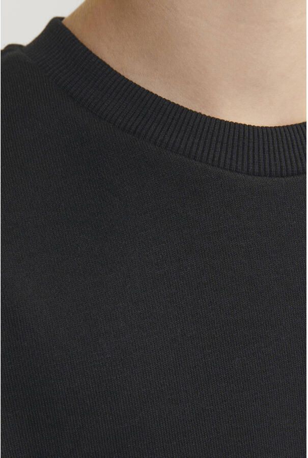 Jack & Jones Junior Sweatshirt JJEBRADLEY SWEAT CREW NOOS JNR