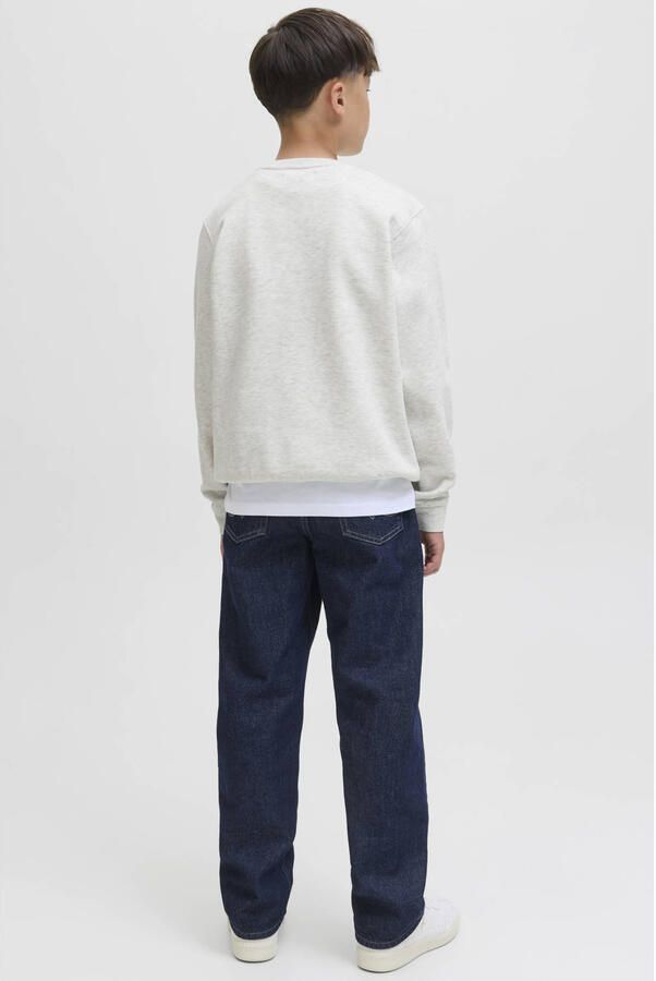 Jack & Jones Junior Sweatshirt JCOTIER PRINT SWEAT CREW NECK SN JNR