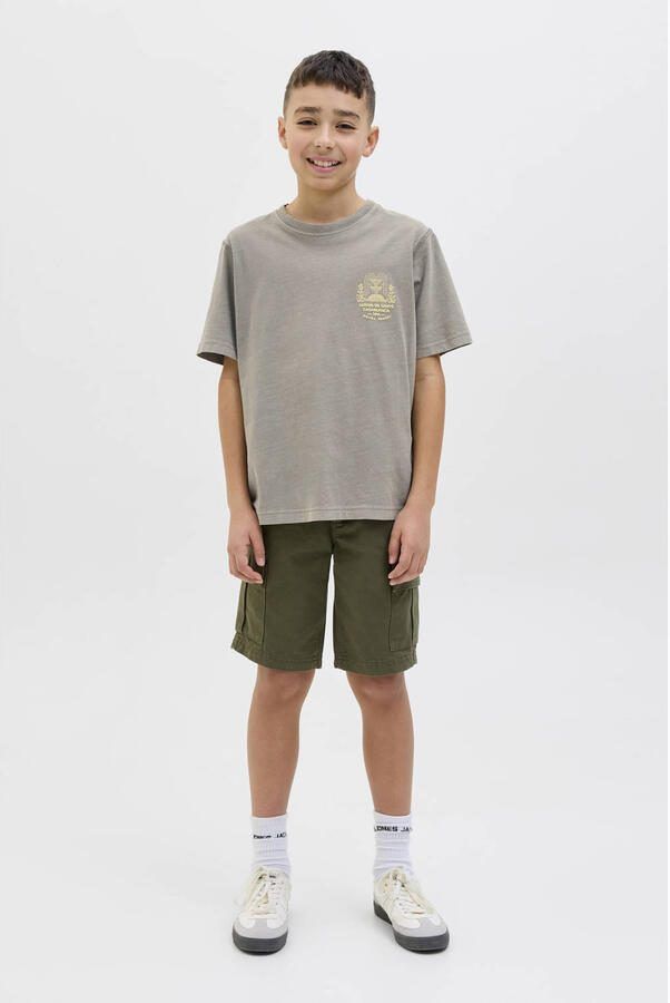 JACK & JONES JUNIOR T-shirt grijs