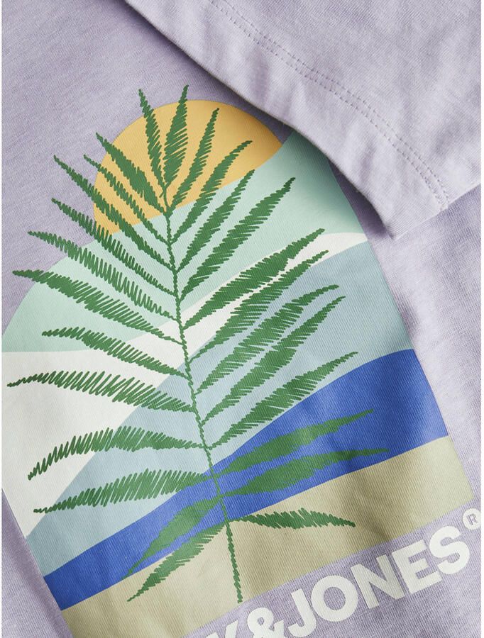 Jack & jones Barbados Crew Shirt Jongens