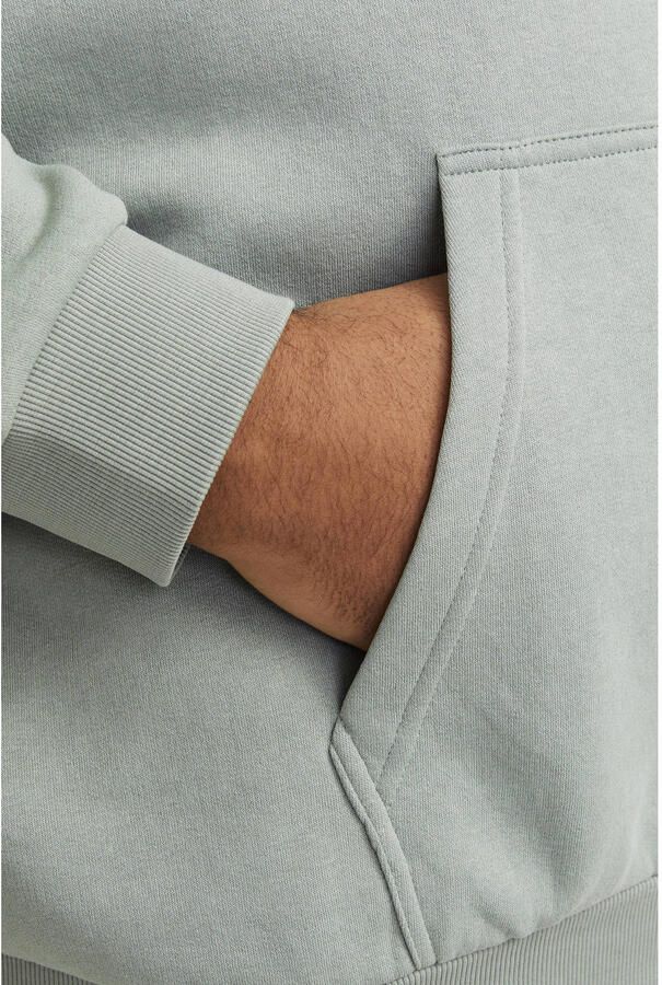 Jack & Jones PlusSize Hoodie JJEBRADLEY SWEAT HOOD NOOS PLS