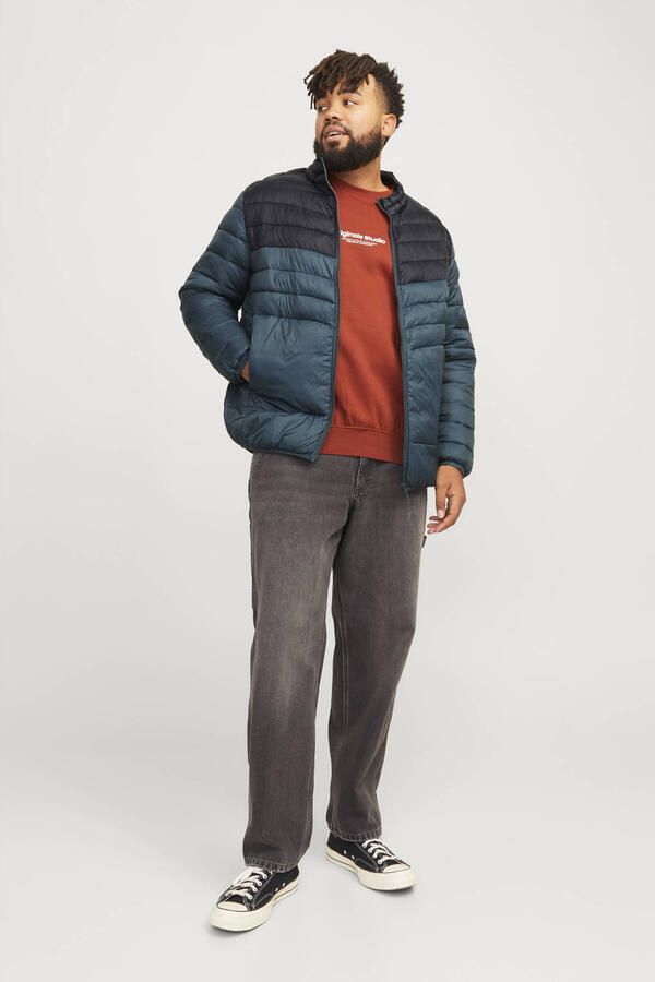 Jack & Jones PlusSize Gewatteerde jas JJESPRINT PUFFER COLLAR NOOS PLS - Foto 2