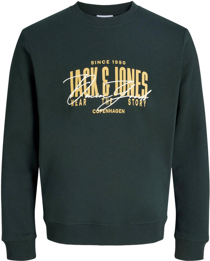 JACK & JONES PLUS SIZE regular fit sweater met logo scarab