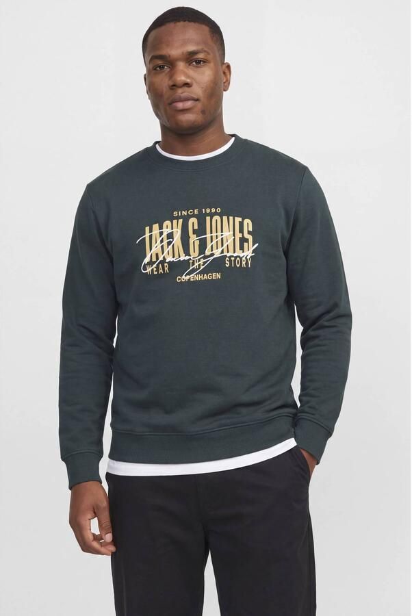 JACK & JONES PLUS SIZE regular fit sweater met logo scarab