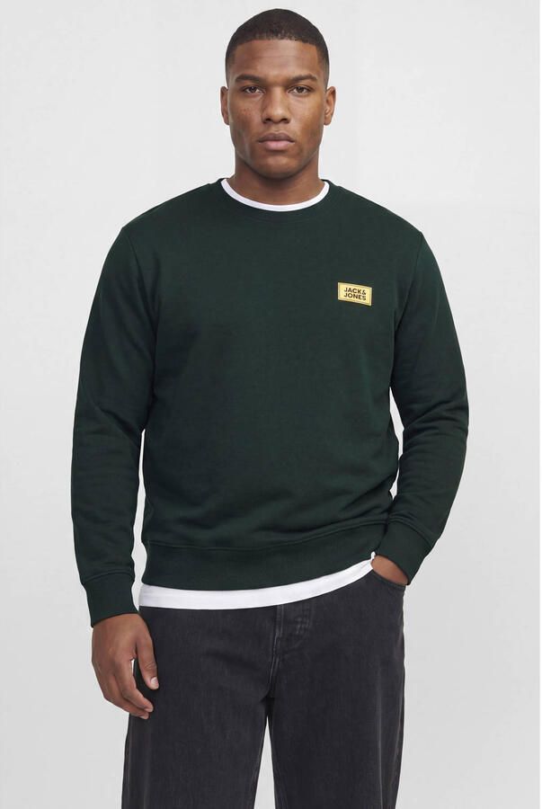 JACK & JONES PLUS SIZE regular fit trui met logo donkergroen