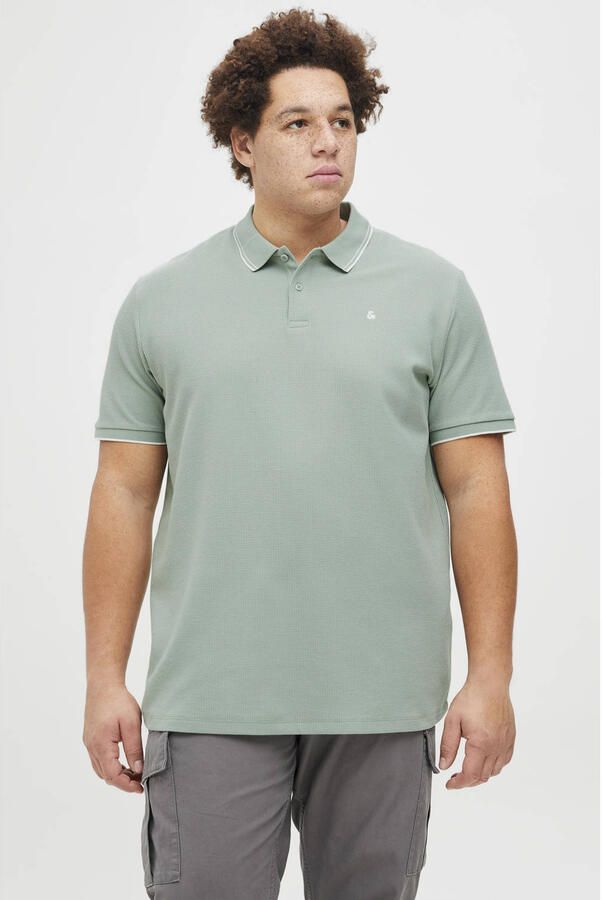 JACK & JONES PLUS SIZE regular polo met ingebreid patroon lichtgroen - Foto 3