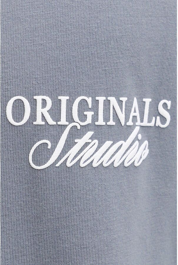 JACK & JONES PLUS SIZE regular T-shirt met backprint Plus Size grijsblauw - Foto 2