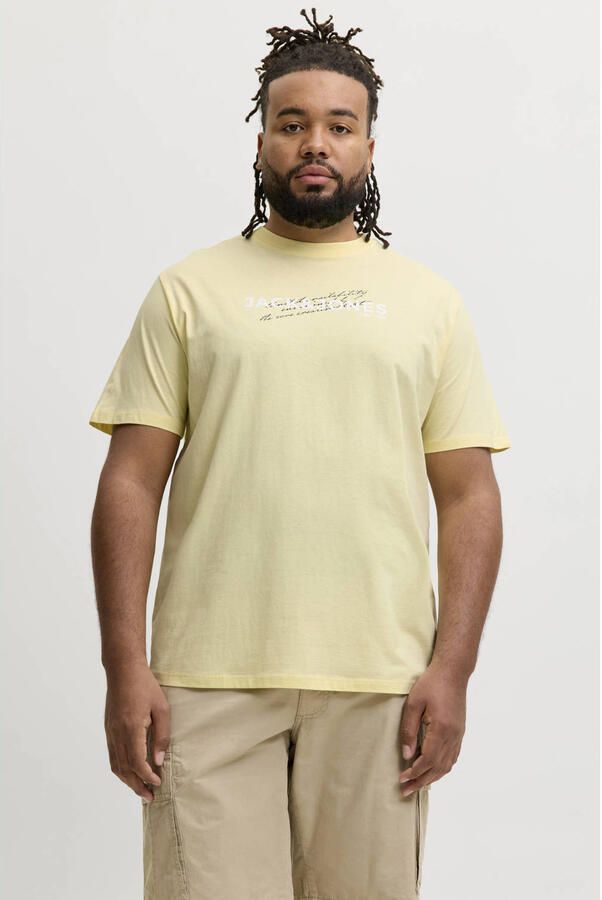 JACK & JONES PLUS SIZE regular T-shirt multi (set van 5)