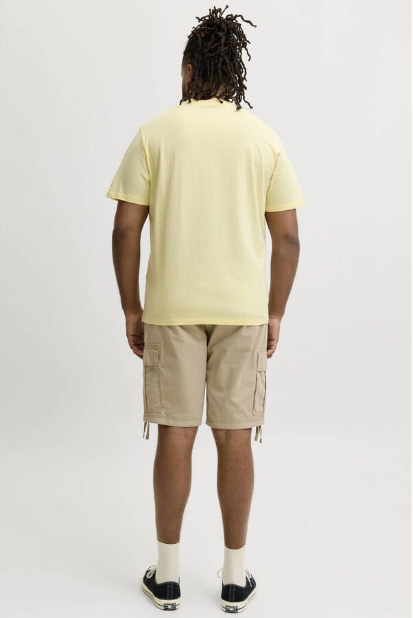 JACK & JONES PLUS SIZE regular T-shirt multi (set van 5) - Foto 2