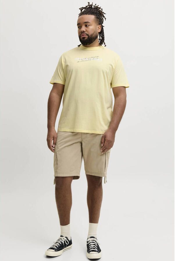 JACK & JONES PLUS SIZE regular T-shirt multi (set van 5) - Foto 3