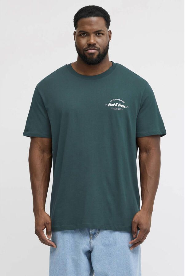 JACK & JONES PLUS SIZE regular T-shirt Plus Size multi (set van 3) - Foto 2