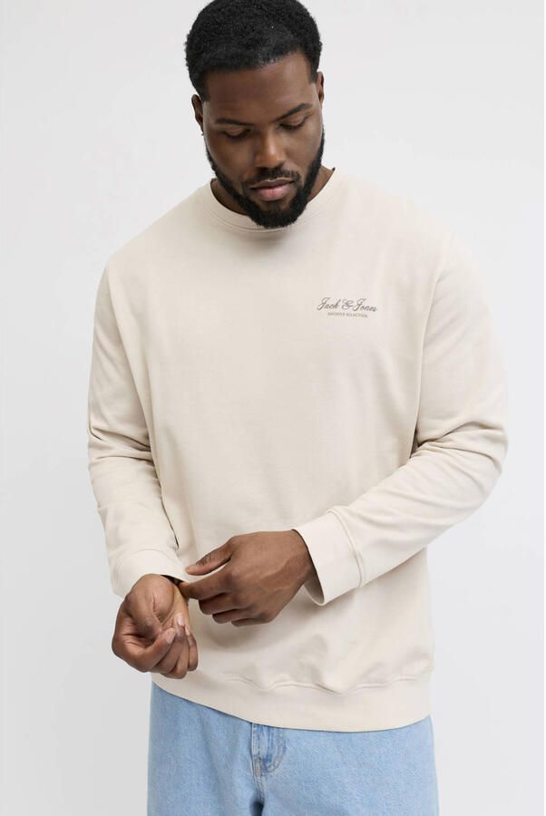 JACK & JONES PLUS SIZE sweater Plus Size beige - Foto 2