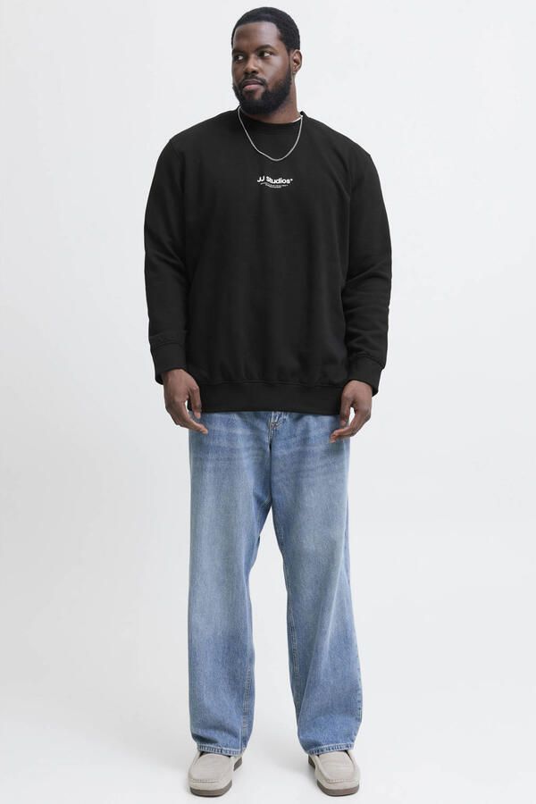 Jack & Jones PlusSize Sweatshirt JJESOHO SWEAT CREW NECK NOOS PLS