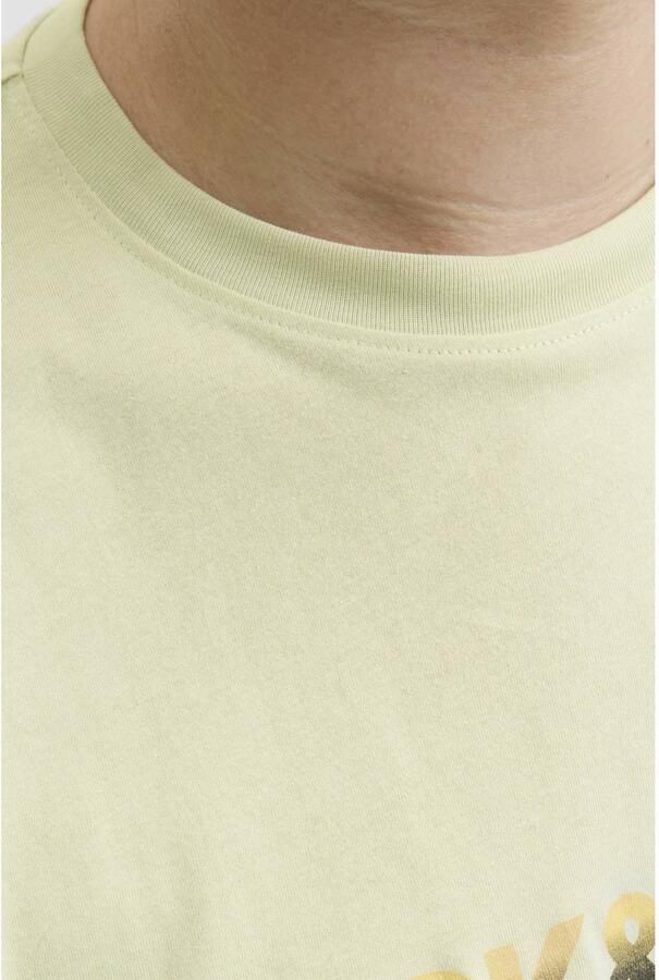 Jack & Jones PlusSize Shirt met print JORCANGGU TEE SS CREW NECK FST PLS