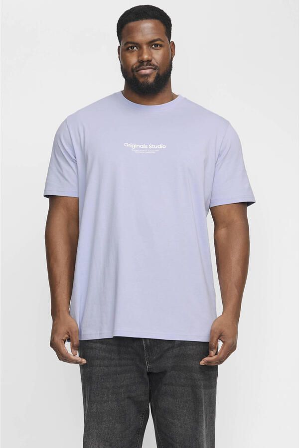 Jack & Jones PlusSize Shirt met korte mouwen JORVESTERBRO TEE SS CREW NECK NOOS PLS - Foto 2