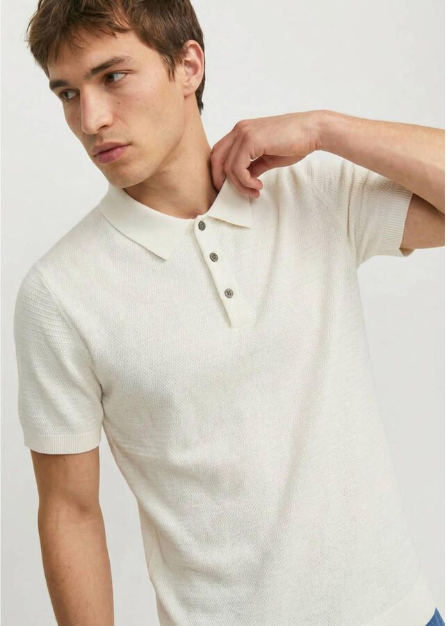 JACK & JONES Premium regular fit poloshirt met structuurpatroon model 'Riley' - Foto 3