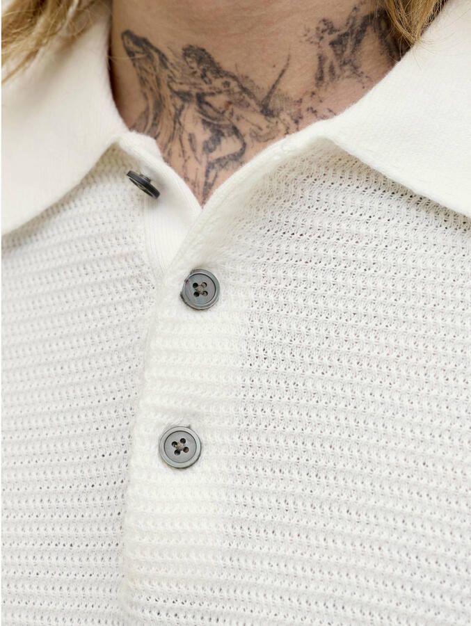 JACK & JONES Premium regular fit poloshirt met structuurpatroon model 'Riley' - Foto 2