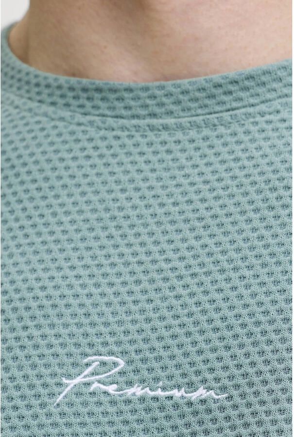 JACK & JONES PREMIUM regular T-shirt met textuur groen - Foto 2