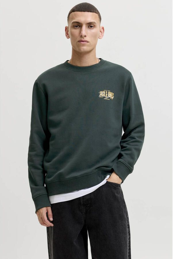 JACK & JONES regular fit sweater met logo scarab