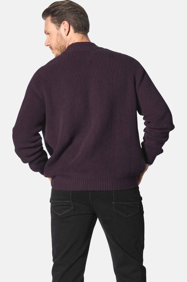 Jan Vanderstorm +FIT Collectie gebreid vest OLETARVIN aubergine - Foto 2