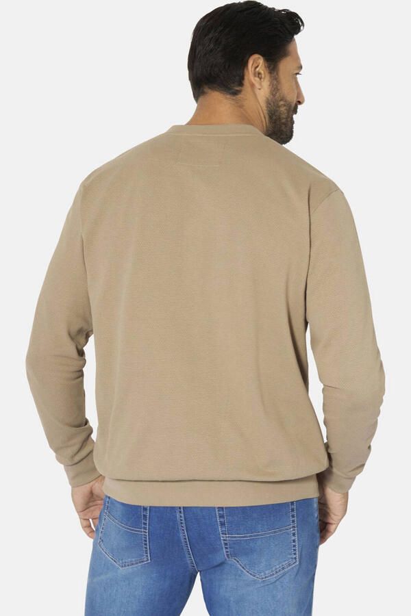 Jan Vanderstorm +FIT Collectie sweater Plus Size VILJAR beige - Foto 3