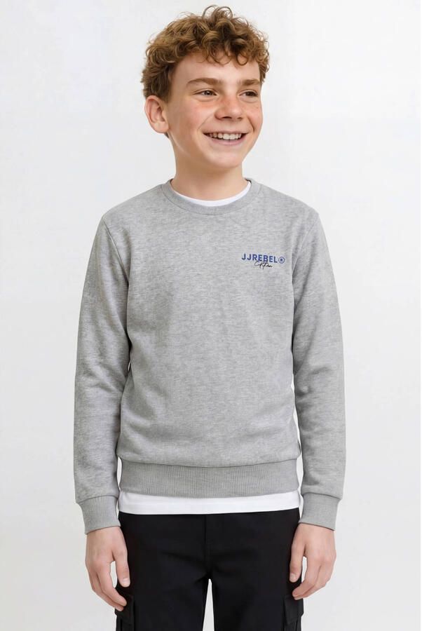 JJ REBEL JUNIOR sweater met backprint grijs melange