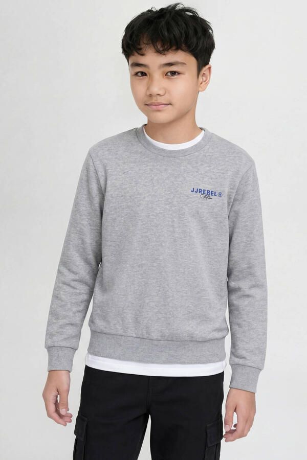 JJ REBEL JUNIOR sweater met backprint grijs melange - Foto 3