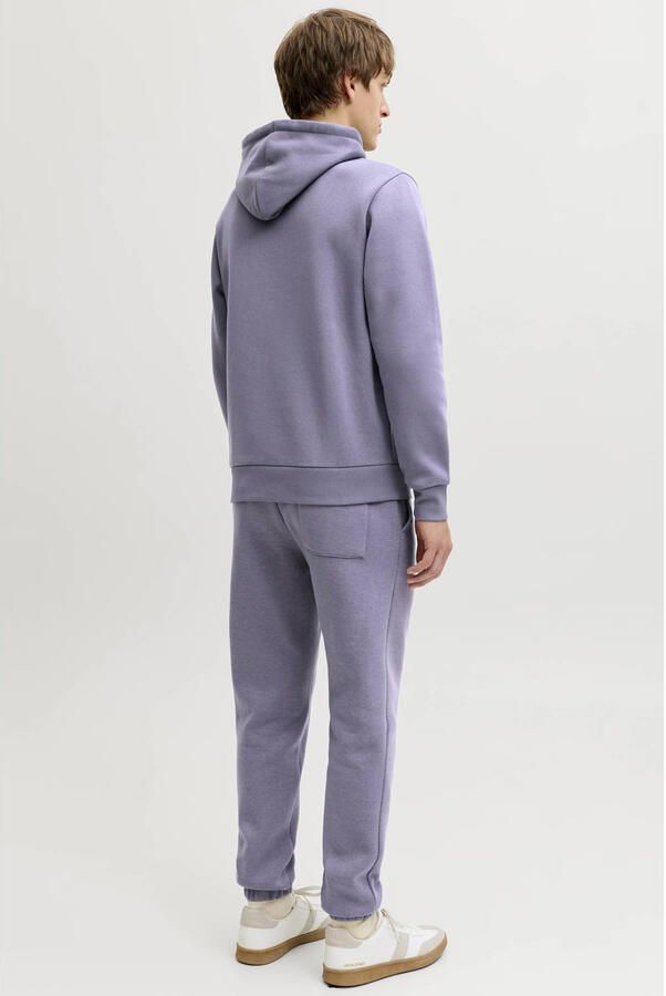 JJ REBEL Regular fit hoodie paars - Foto 3