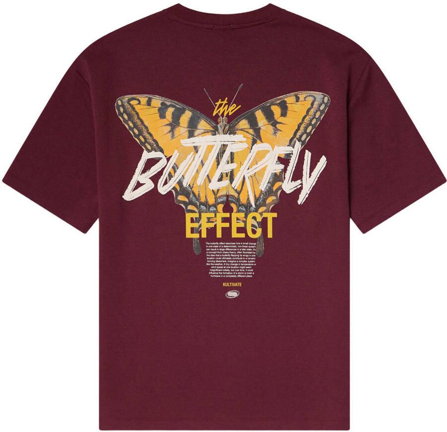 Kultivate oversized T-shirt met backprint fig - Foto 2