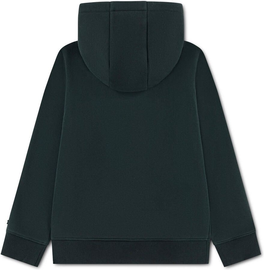 Lacoste hoodie met print donkergroen