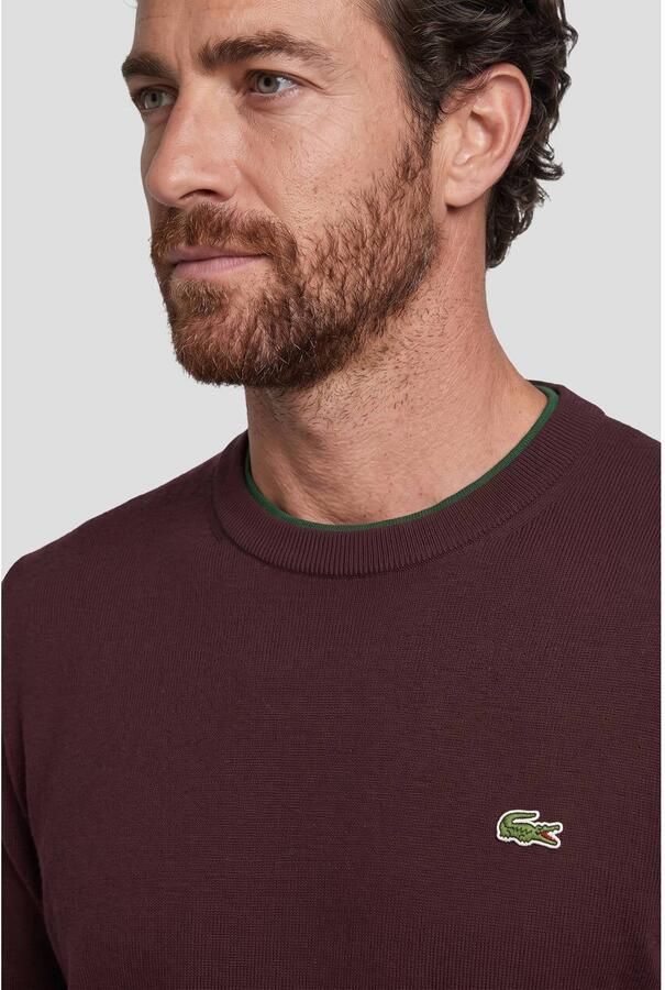 Lacoste regular fit gebreide trui roodbruin