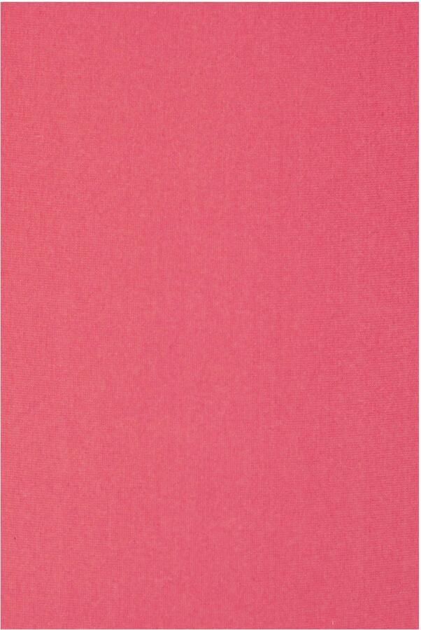 Lascana Bikinibroekje Lolo in hogere snitvorm - Foto 2