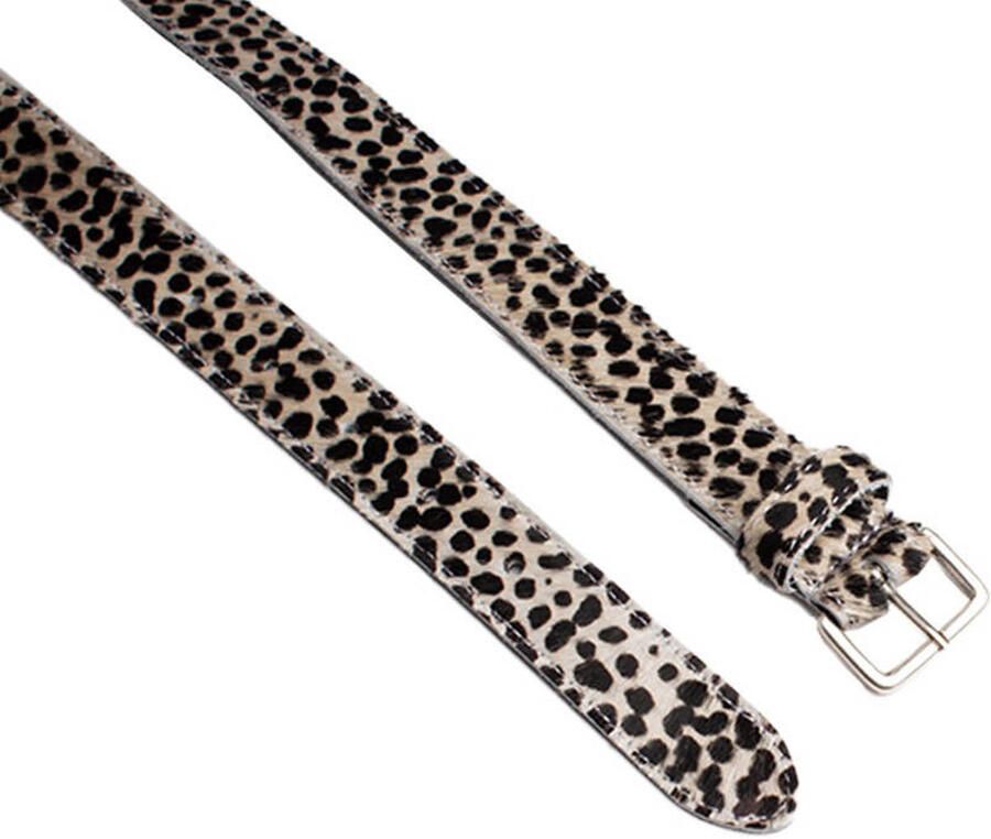 Legend Luipaardprint Riem Multicolor Dames