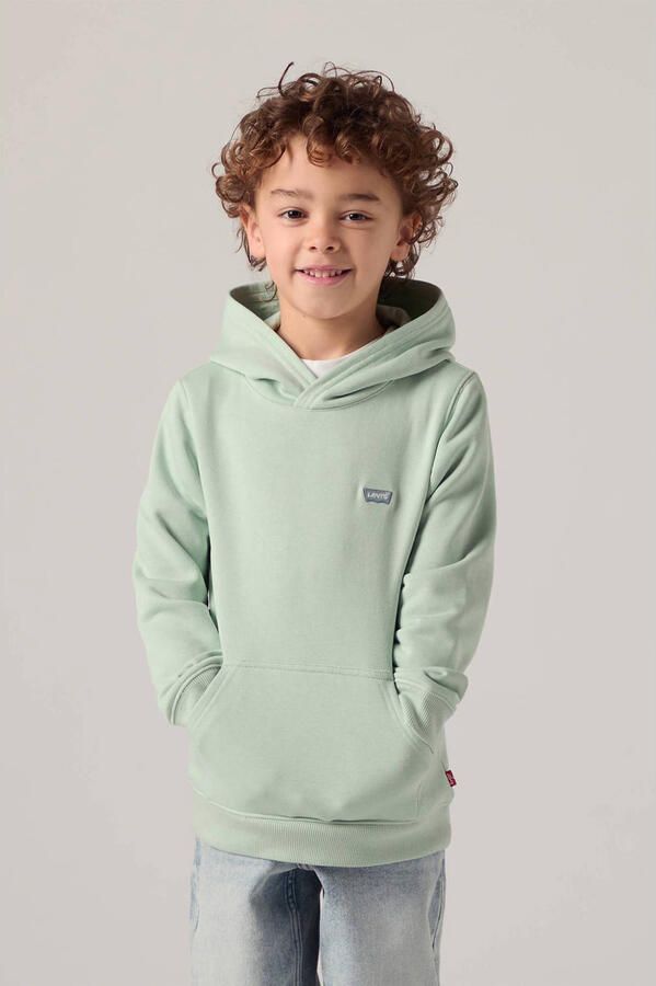 Levi's hoodie groen