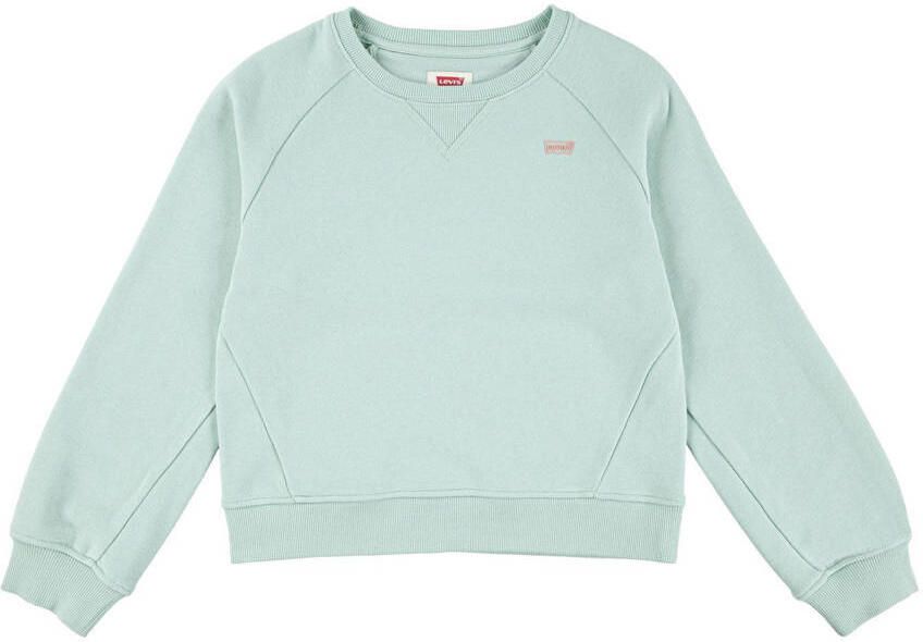 Levi's Kidswear Sweatshirt LVG LEVIS HD SILICONE BATWING - Foto 2