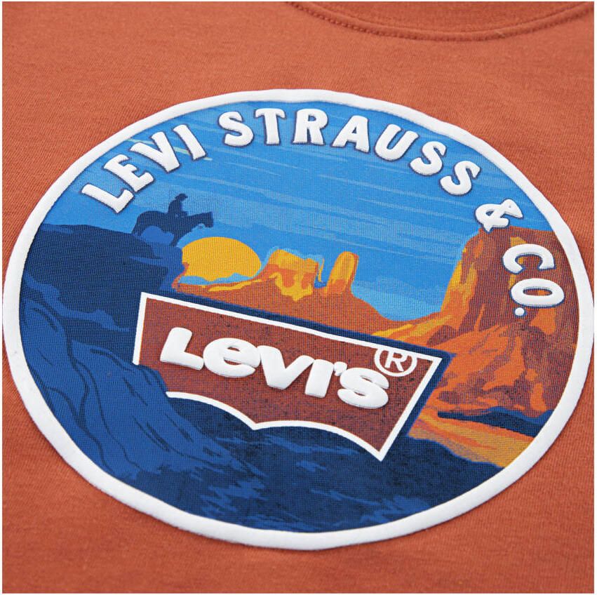 Levi's Kidswear T-shirt LVB DESERT TRAIL TEE met woestijnprint voor jongens