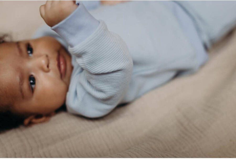 LEVV baby gestreepte sweater LNEELTJENOS blue dust Blauw Streep 56