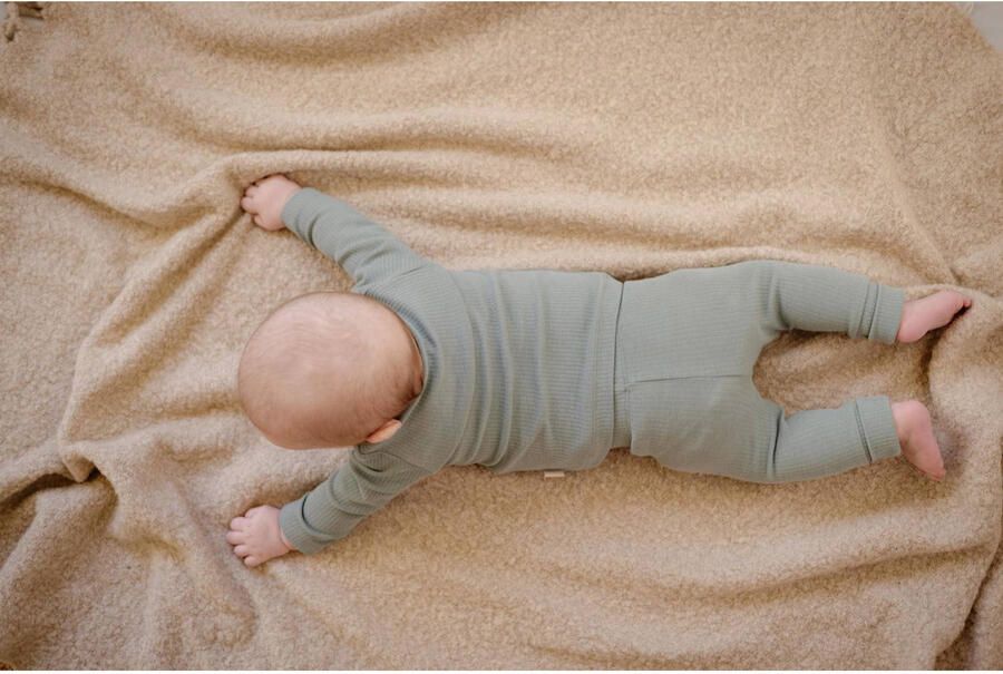 LEVV baby longsleeve LNURNOS van katoen groen Effen 44