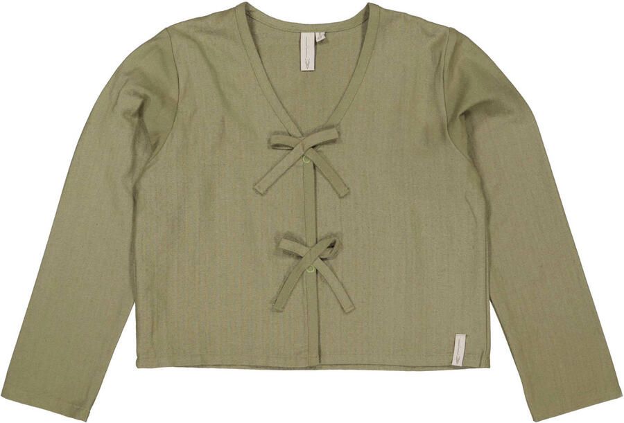 LEVV longsleeve groen