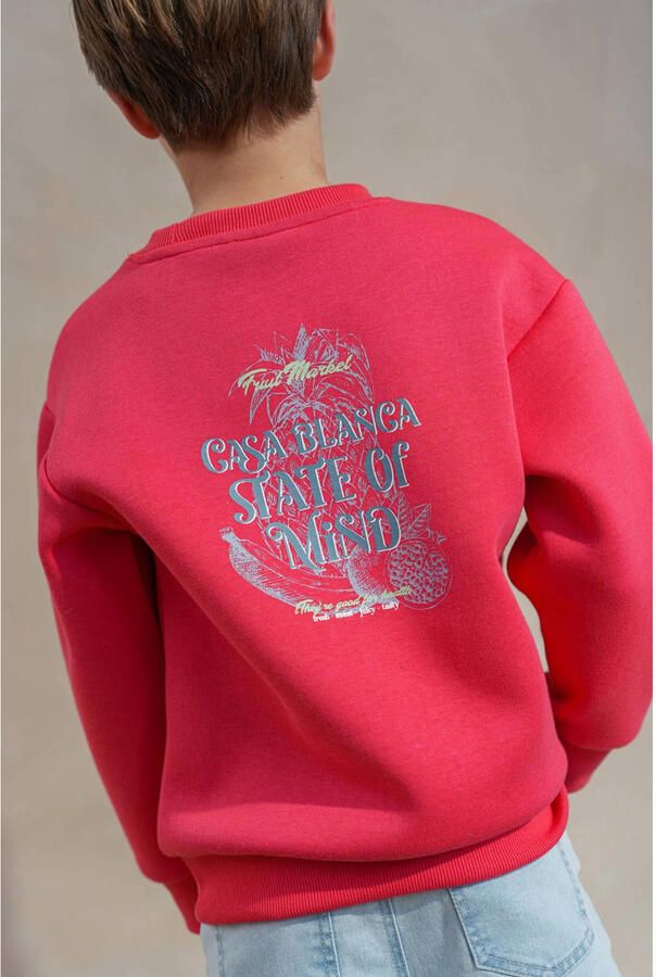 Like Flo Boys sweater met backprint roze
