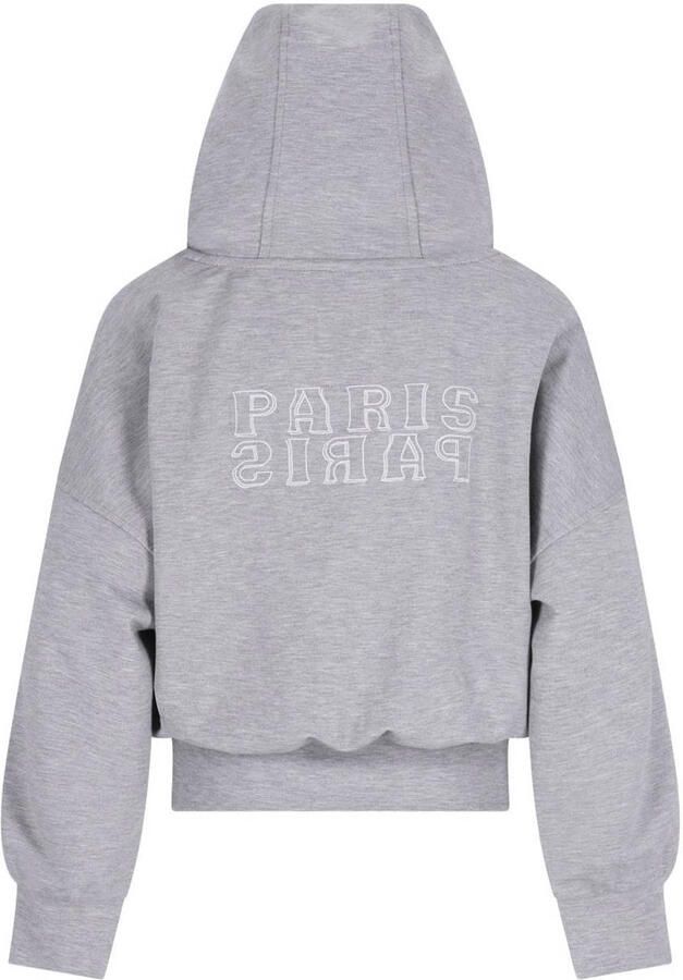Like Flo Young boxy hoodie met backprint grijs - Foto 3