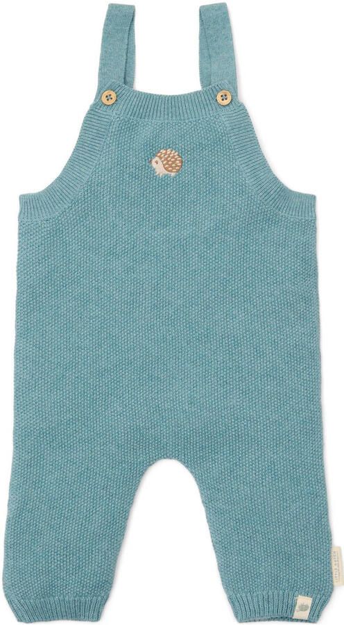 Little Dutch tuinbroek blauw