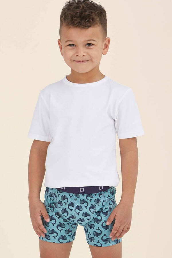 Little Label boxershort blauw (set van 5)
