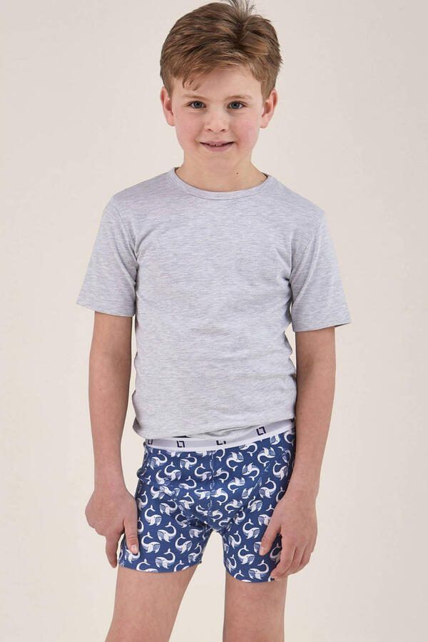 Little Label boxershort blauw (set van 5) - Foto 2