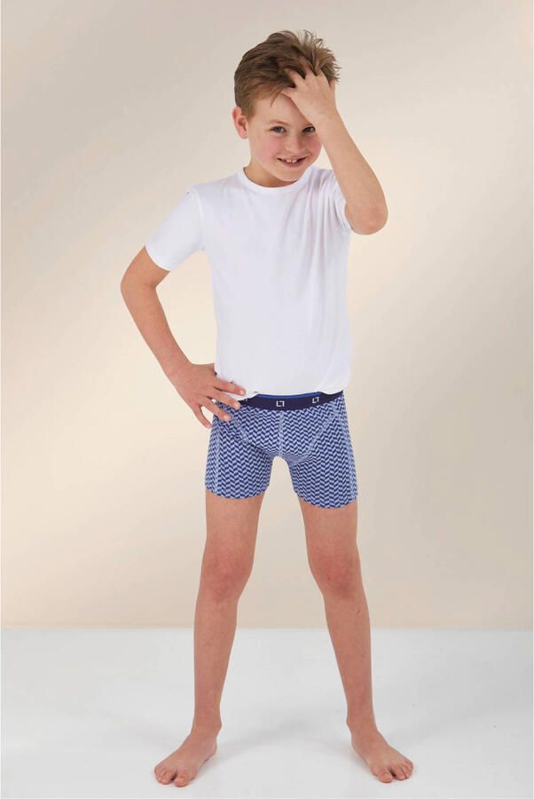 Little Label boxershort blauw (set van 5)
