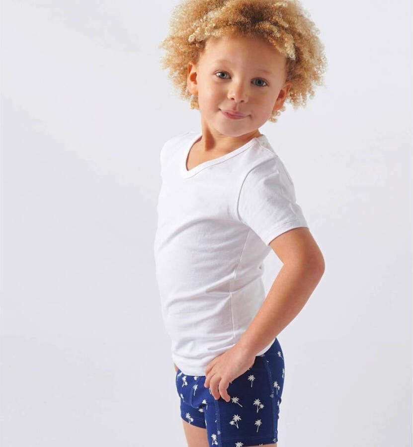 Little Label T-shirt van katoen set van 3 wit Jongens Stretchkatoen V-hals 110 116