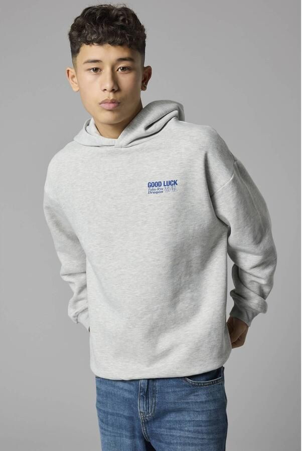 LMTD sweater met backprint lichtgrijs blauw Backprint